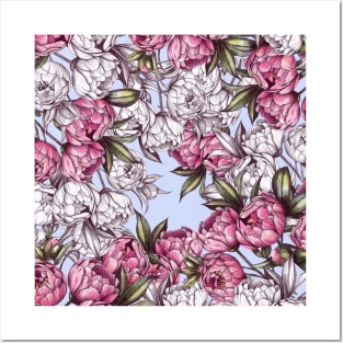 Peony pattern sketch. White and pink color Posters and Art